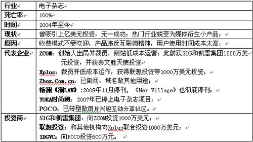 電子雜志行業全軍覆沒 上億美元風投全打水漂