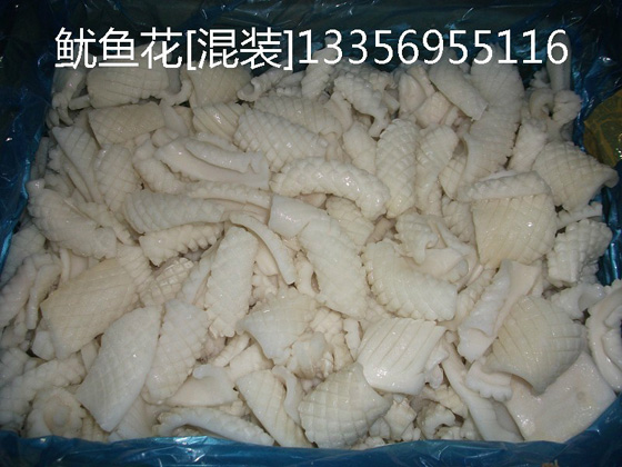 魷魚(yú)花